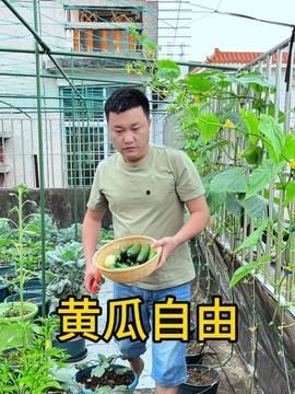 今日头条有什么菜种,探寻时令美味，解锁家常菜新境界