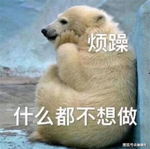 无情吃瓜群众图片,揭秘网络围观背后的真相