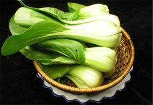 福寿瓜能做啥菜吃,解锁健康美味的烹饪新境界